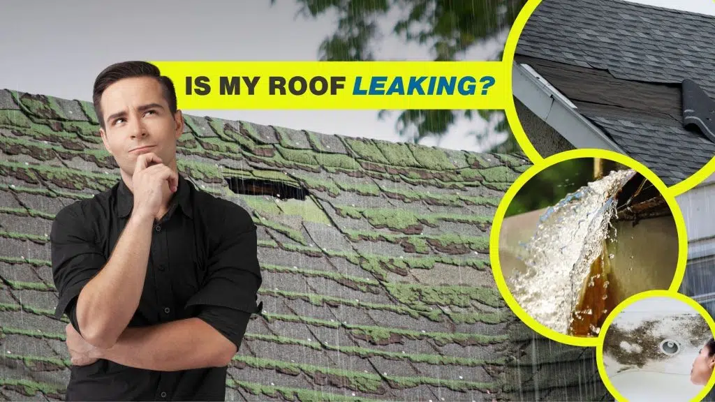 Is My Roof Leaking? 5 Signs You Shouldn't Ignore!