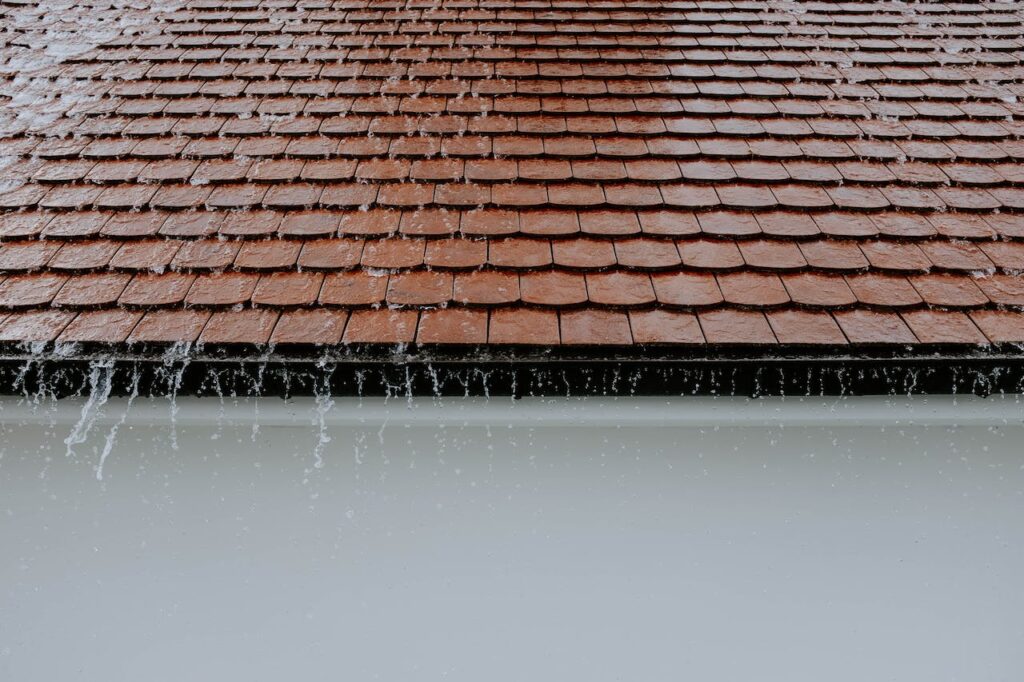 5 Signs Your Vaucluse Roof Needs Help Before It Rains Again!