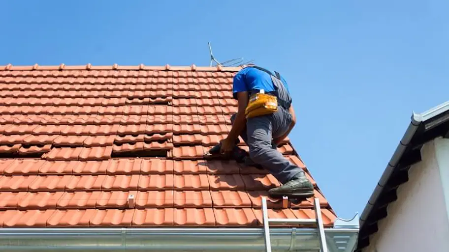 is Your Bondi Beach Bliss Ruined by Roof Leaks Here’s How to Spot Them!